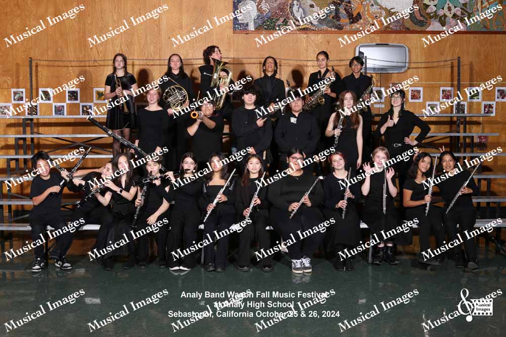 Musical Images